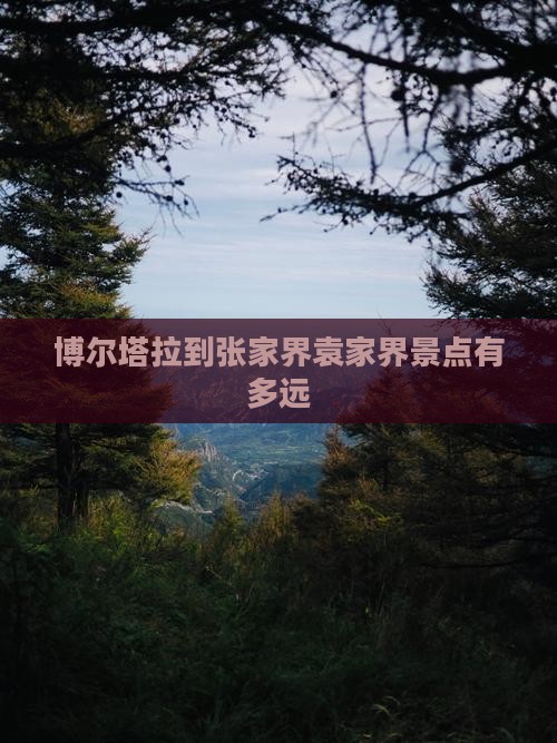 博尔塔拉到张家界袁家界景点