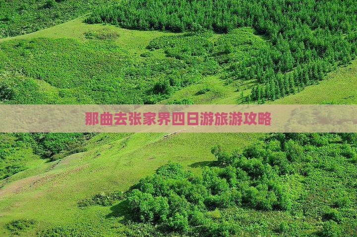 那曲去张家界四日游