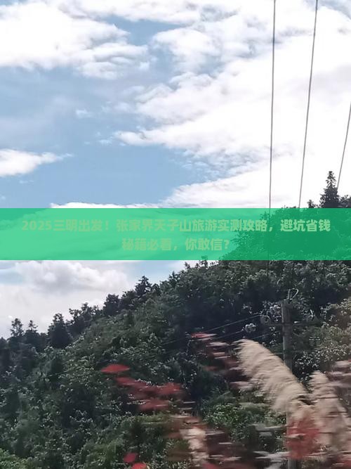 三明到张家界天子山旅游