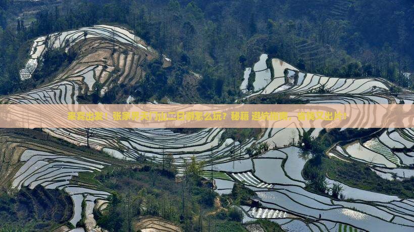 来宾到张家界天门山二日游