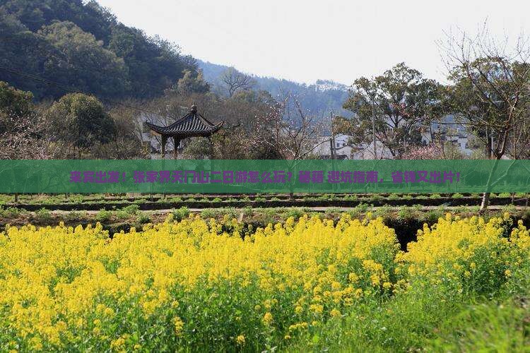 来宾到张家界天门山二日游