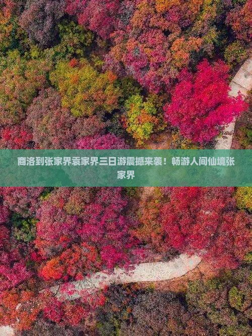 商洛到张家界袁家界三日游 商洛到张家界袁家界三日游