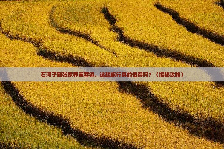 石河子到张家界芙蓉镇大型旅游团