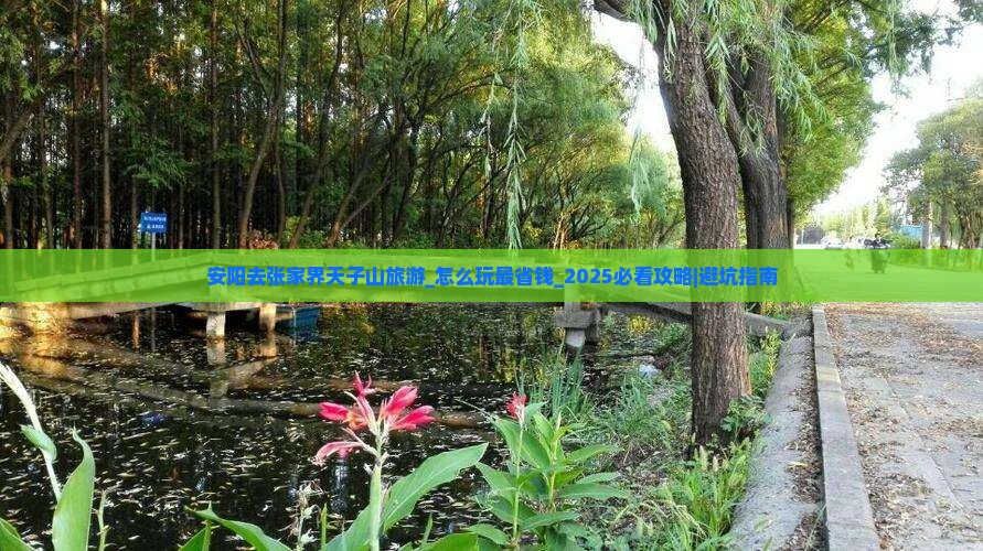 安阳去张家界天子山旅游