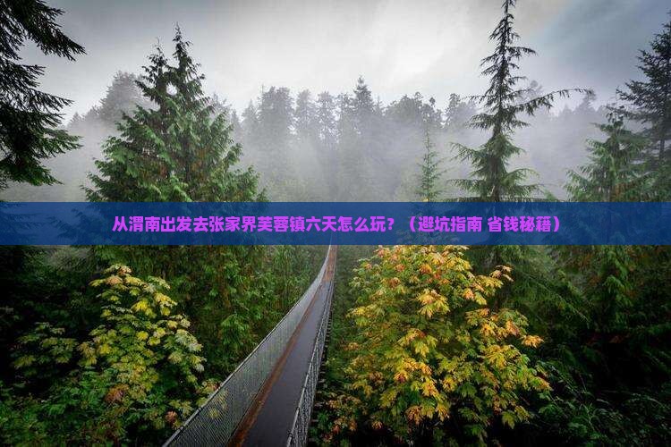 渭南去张家界芙蓉镇六日游