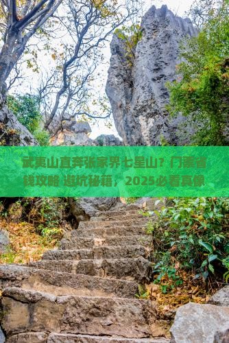 武夷山去张家界七星山门票