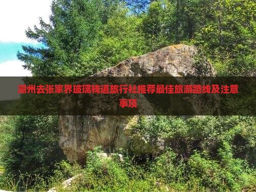 湖州去张家界玻璃栈道旅行社