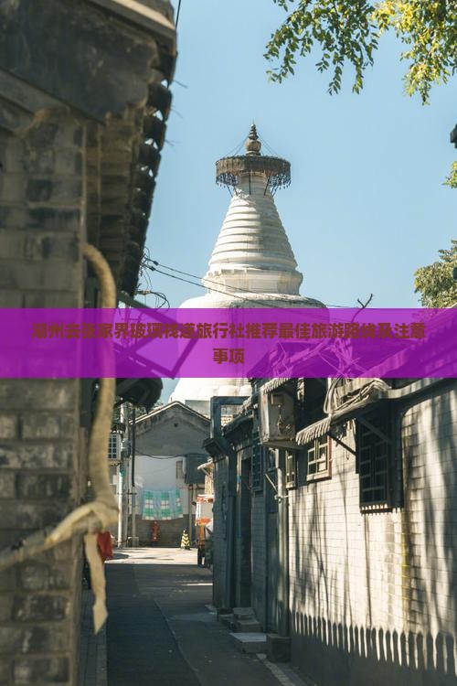 湖州去张家界玻璃栈道旅行社