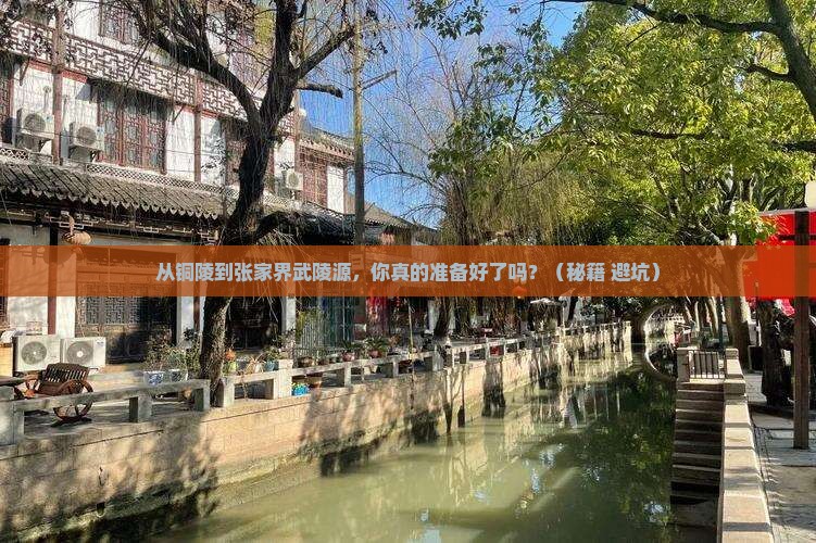 铜陵到张家界武陵源攻略
