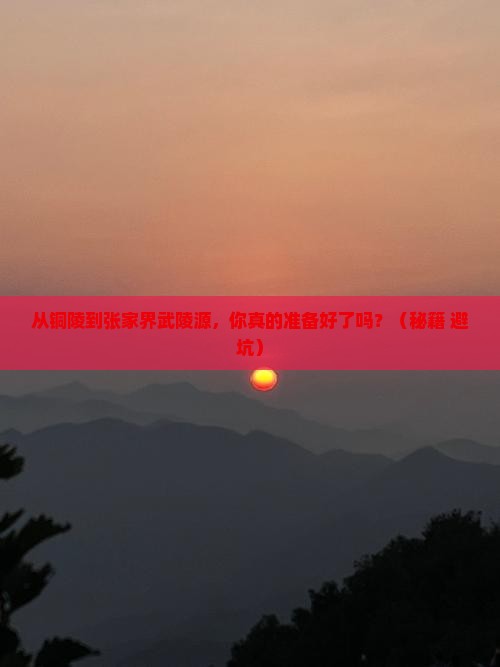铜陵到张家界武陵源攻略