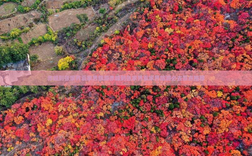 赤峰到张家界袁家界旅游