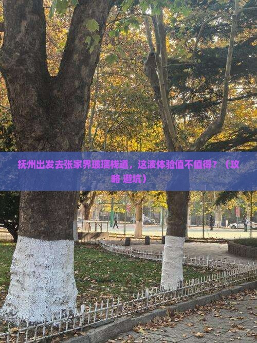 抚州去张家界玻璃栈道旅游
