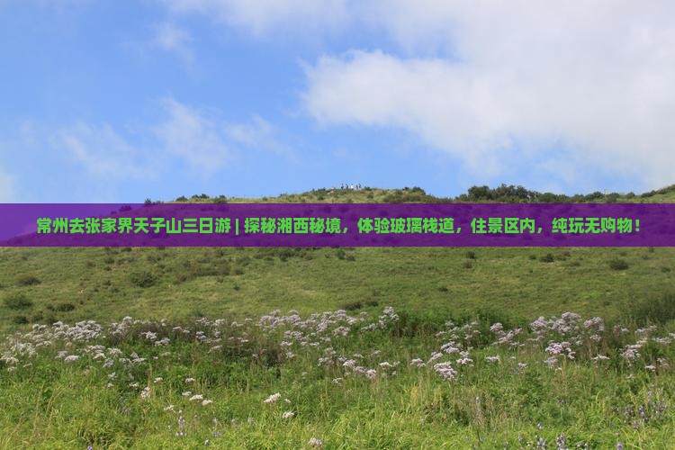 常州去张家界天子山三日游