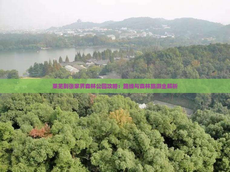 莱芜到张家界森林公园攻略