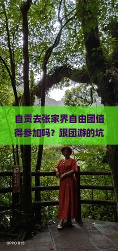 自贡去张家界自由团