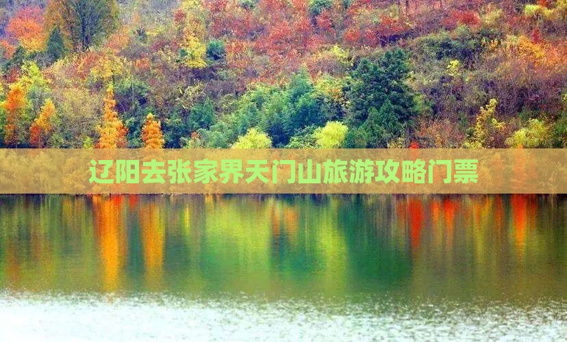 辽阳去张家界天门山门票