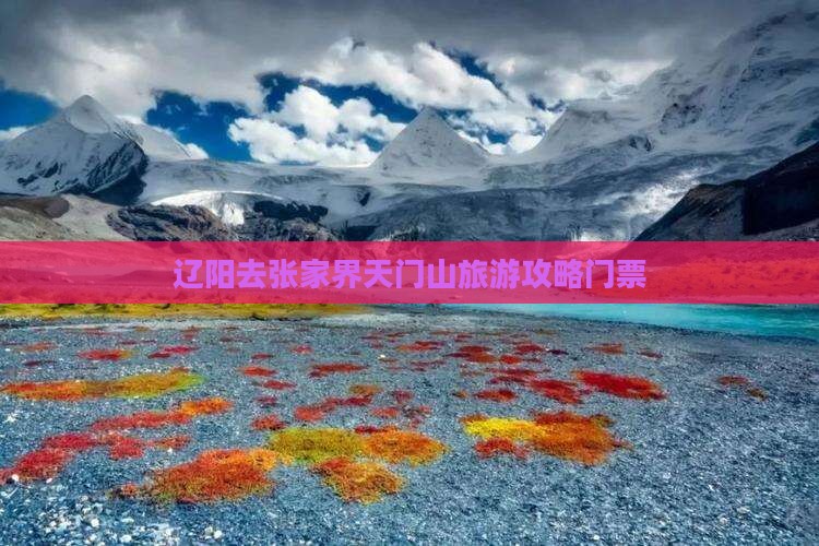辽阳去张家界天门山门票