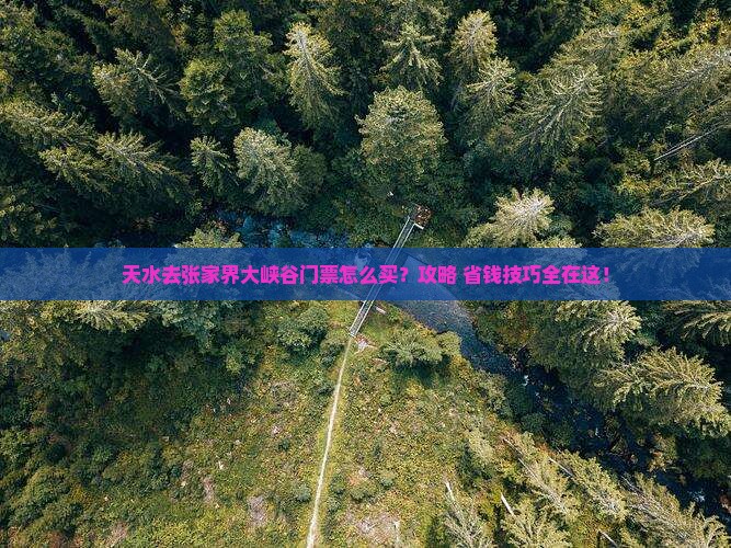 天水去张家界大峡谷门票