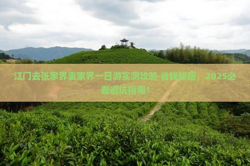 江门去张家界袁家界一日