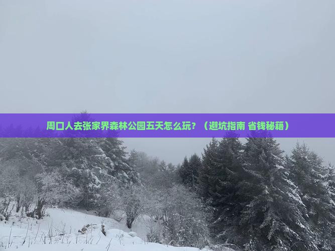 周口去张家界森林公园五日游