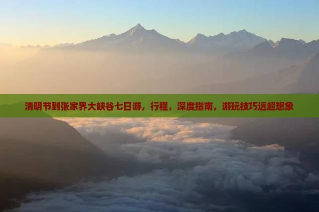 清明节到张家界大峡谷七日游