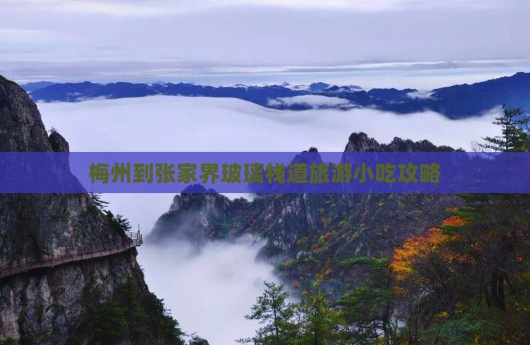 梅州到张家界玻璃栈道旅游小吃