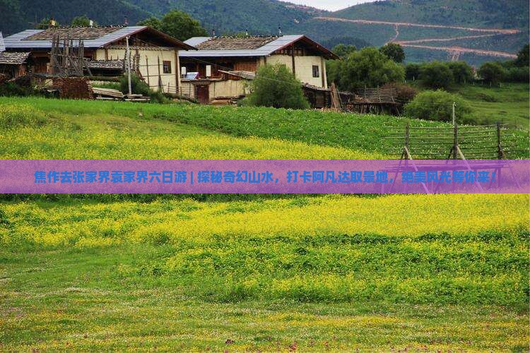 焦作去张家界袁家界六日游