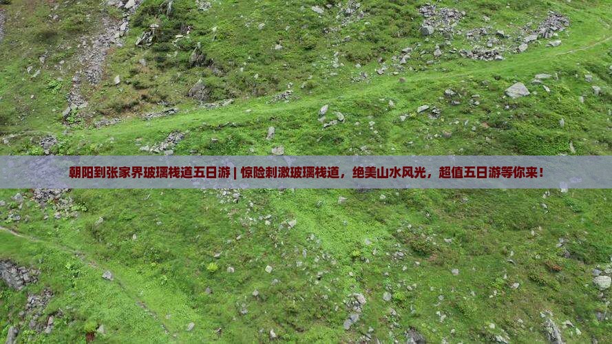 朝阳到张家界玻璃栈道五日游
