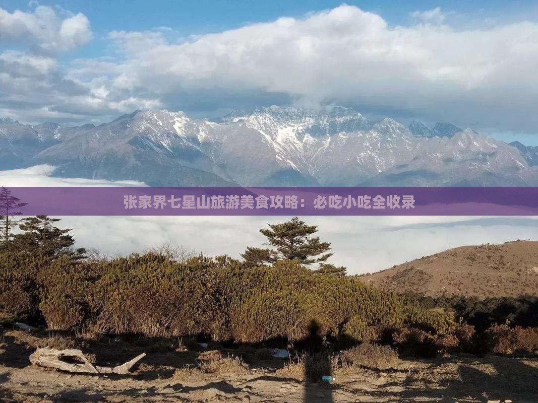 宣城去张家界七星山旅游小吃