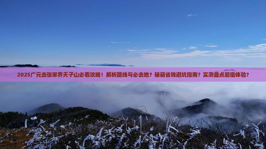 广元去张家界天子山必去地