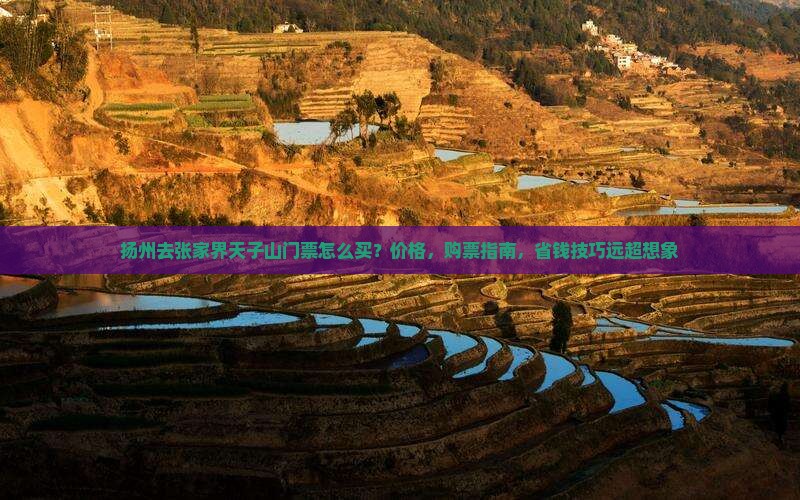 扬州去张家界天子山门票