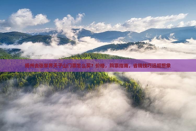 扬州去张家界天子山门票