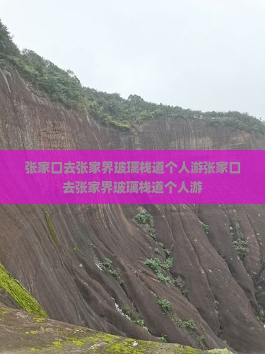 张家口去张家界玻璃栈道个人游