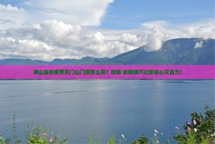 黄山去张家界天门山门票