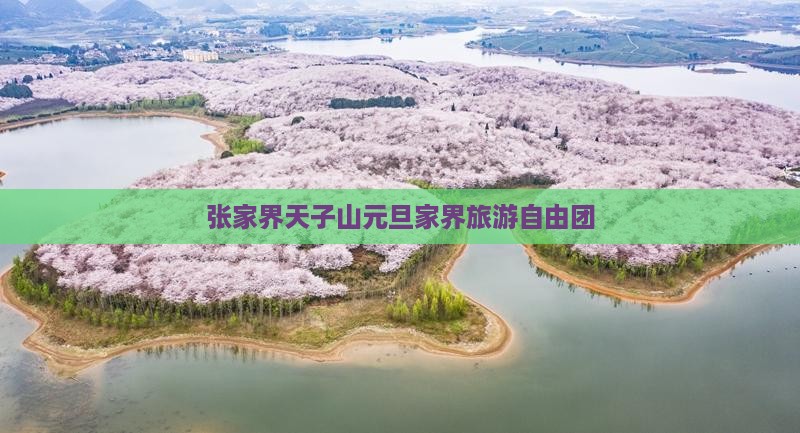 元旦到张家界天子山自由团