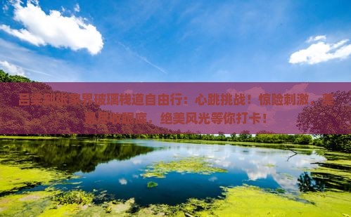 吕梁到张家界玻璃栈道自由行