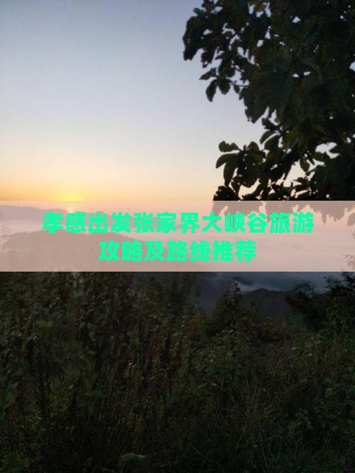 孝感去张家界大峡谷哪里玩