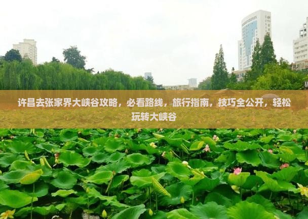 许昌去张家界大峡谷攻略