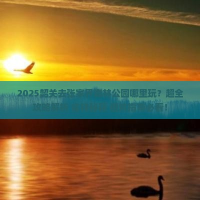 韶关去张家界森林公园哪里玩