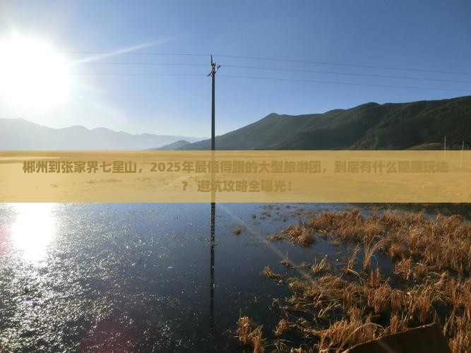 郴州到张家界七星山大型旅游团