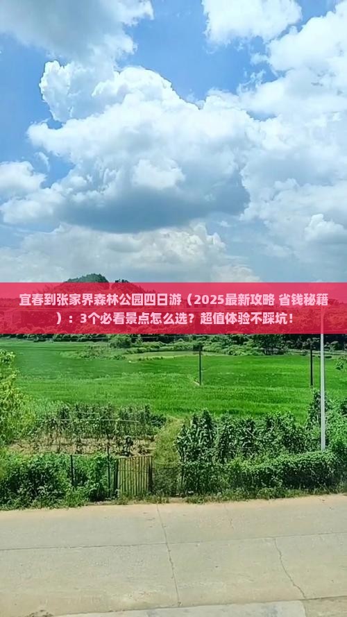 宜春到张家界森林公园四日游