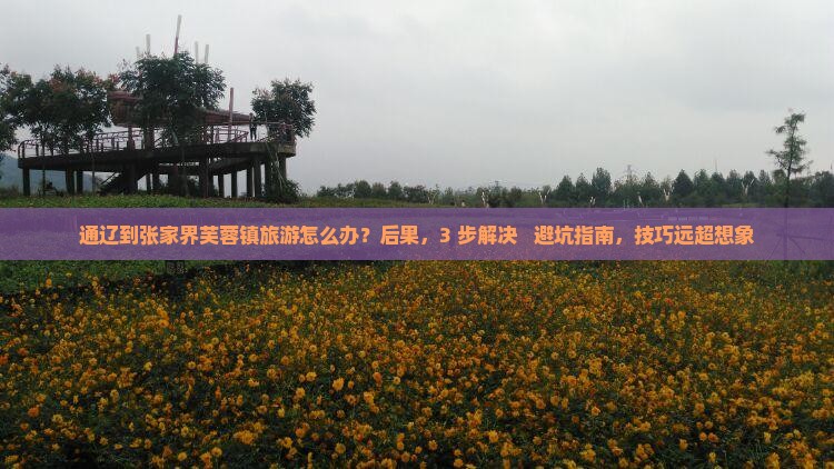 通辽到张家界芙蓉镇旅游