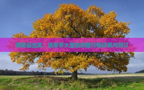 鄢陵县出发：张家界大型旅游团行程详解与预订
