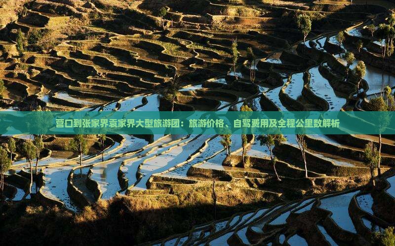 营口到张家界袁家界大型旅游团：旅游价格、自驾费用及全程公里数解析