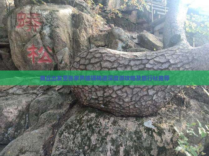 商丘出发至张家界玻璃栈道深度游攻略及旅行社推荐