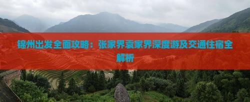 锦州出发全面攻略：张家界袁家界深度游及交通住宿全解析