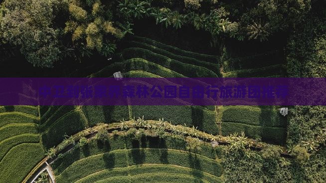 中卫到张家界森林公园自由行旅游团推荐