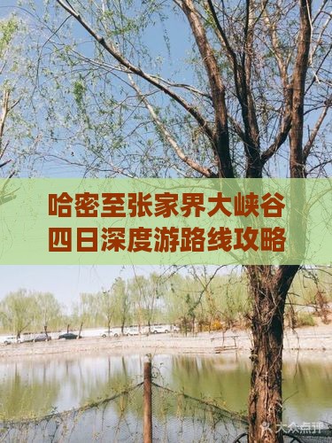 哈密至张家界大峡谷四日深度游路线攻略