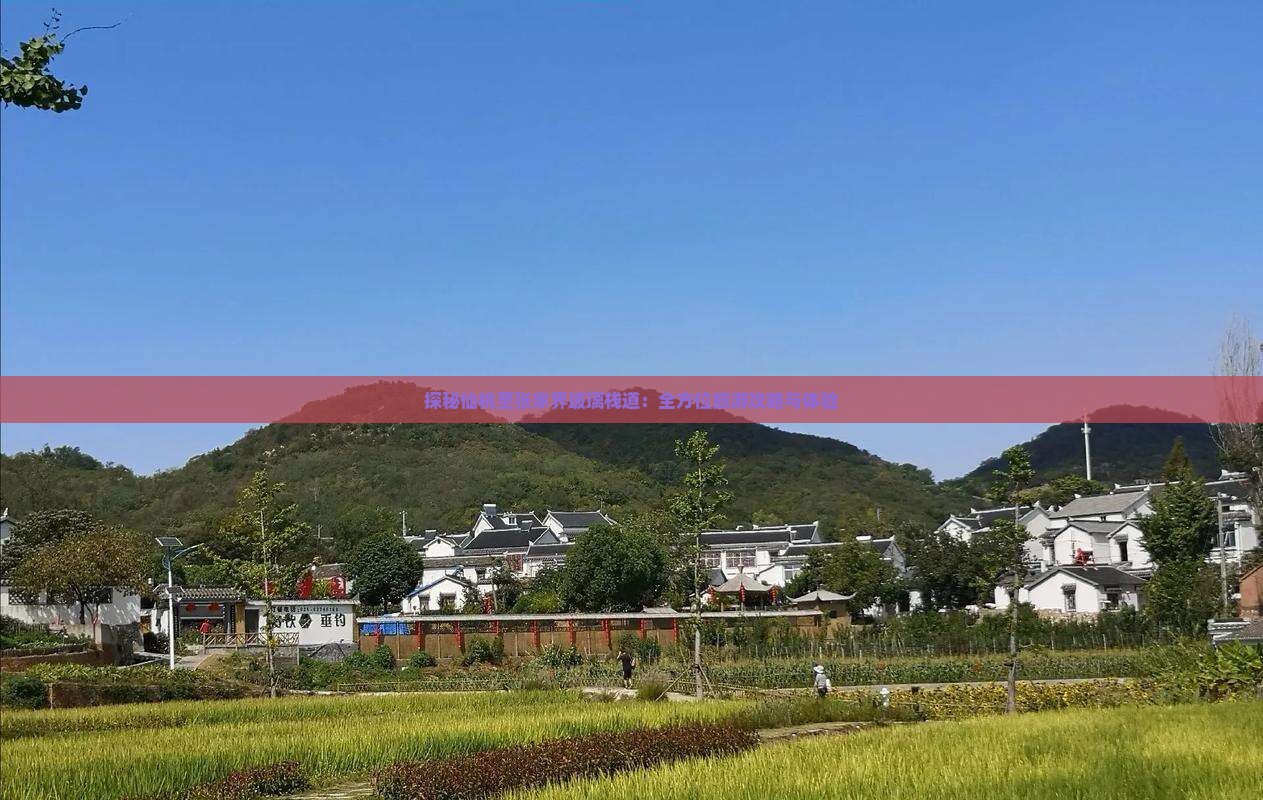 探秘仙桃至张家界玻璃栈道：全方位旅游攻略与体验