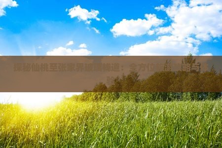 探秘仙桃至张家界玻璃栈道：全方位旅游攻略与体验